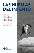 Portada de: Las huellas del intento