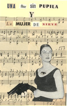 Una flor sin pupila y la mujer de nieve